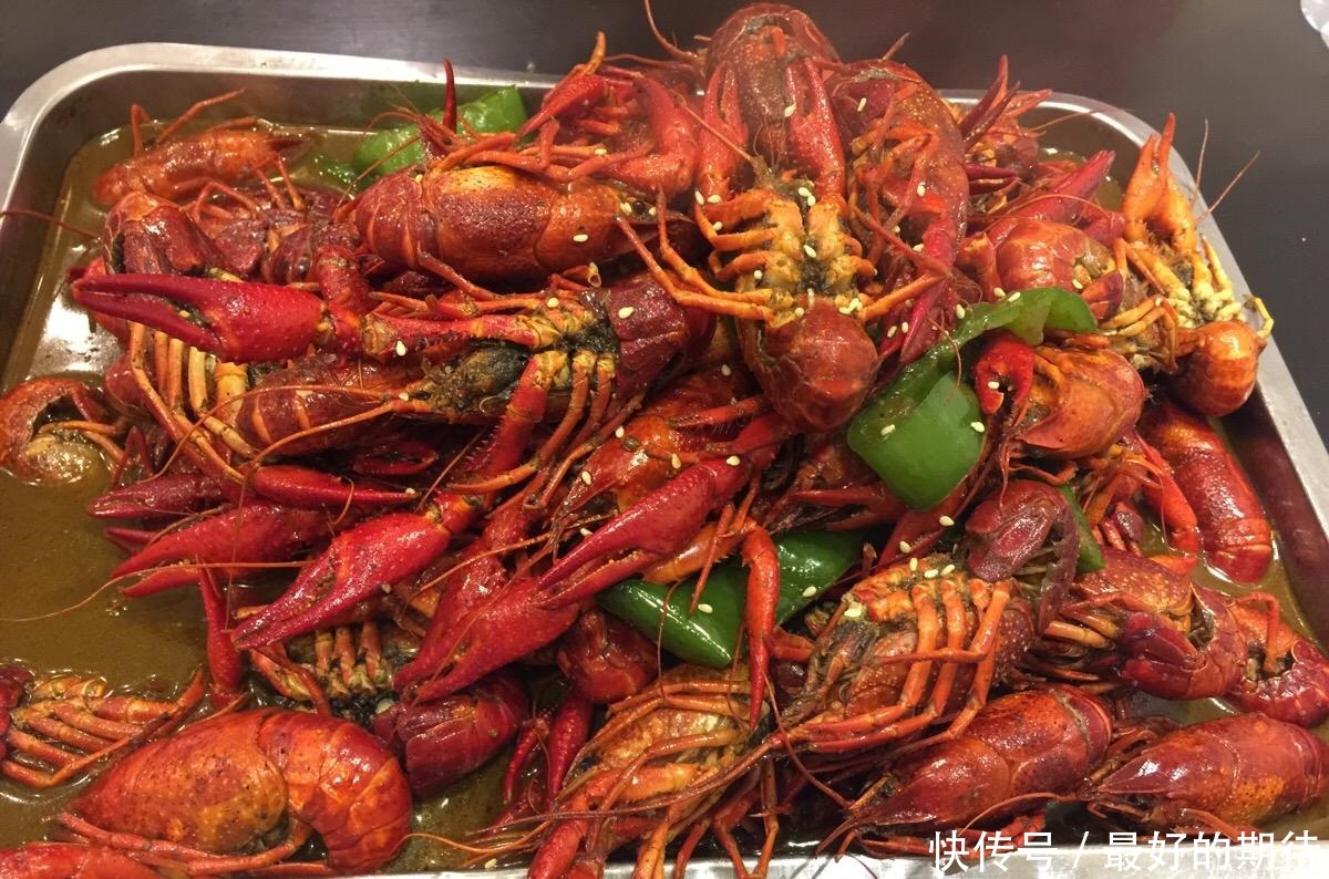 让外国人|这次不是小龙虾,一水生植物在国外泛滥成灾,中国网友放着我来