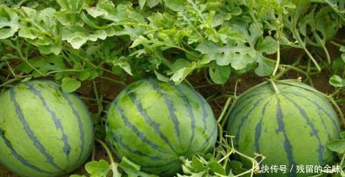 路遇|乾隆微服私访,路遇一乞丐相谈甚欢,一会派侍卫杀了!