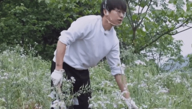 最多|《向往》最累的人不是黄磊!未播花絮表明原因,才知道农活全让他干了!