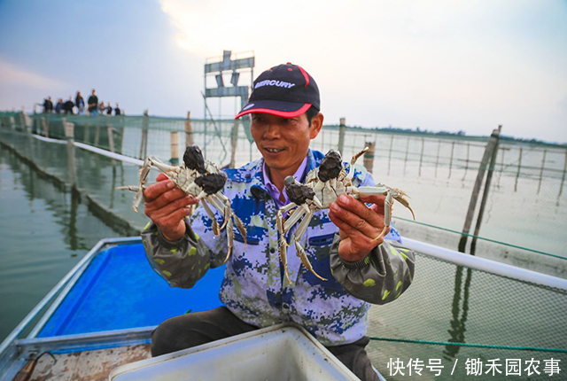 就火|去年遭吐槽的大闸蟹，今年没上市就火了，消费者直呼吃不起