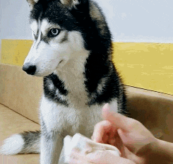 舒爽|搞笑GIF：为什么看到他摔倒，心里会莫名的舒爽呢？