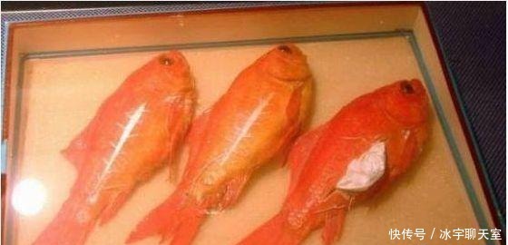 雷人|雷人藏毒运毒手法：只有想不到没有做不到的，真是为难毒贩子了！