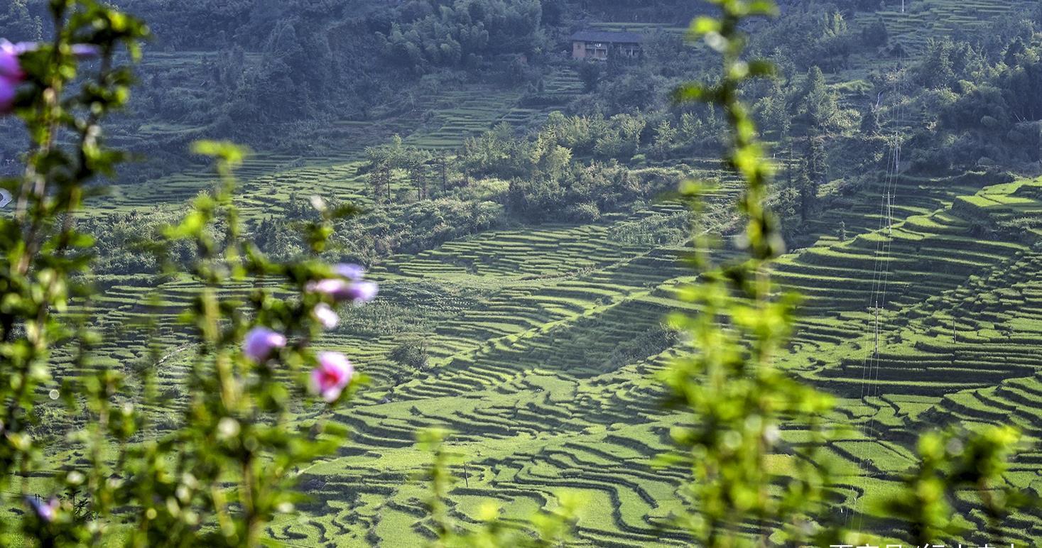 蛤蟆|养在深闺的联合梯田，蛤蟆一跳过三丘