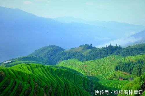  天然居|龙脊梯田天然居客栈：龙脊梯田云雾环绕犹如美丽的面纱