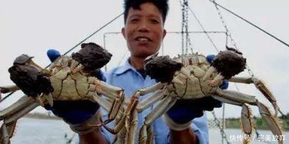 德国人|德国人到中国吃大闸蟹,吃完两盘丢下100块钱就走,老板:你干嘛