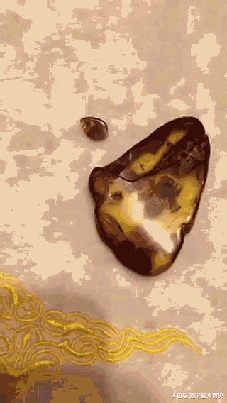  男子|两男子买 30 万元虫珀，却被自己掰碎了！当场晕倒！