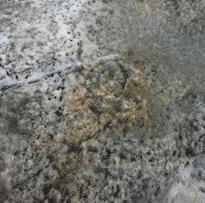 祸根|阿尔卑斯山出现粉色的雪，看似浪漫的背后，实际是人类埋下的祸根