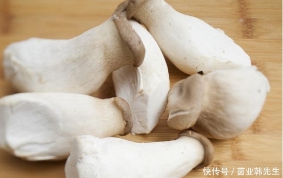 后我们|杏鲍菇不要炒着吃了，教你秘制新做法