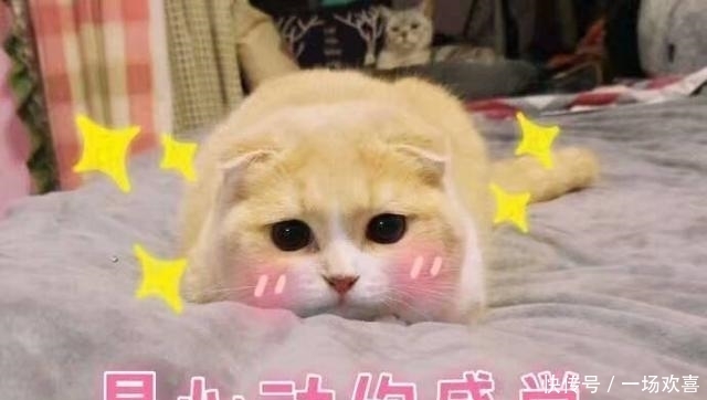 star|看了小鬼这段表演,才知道什么叫做真正的Rap star