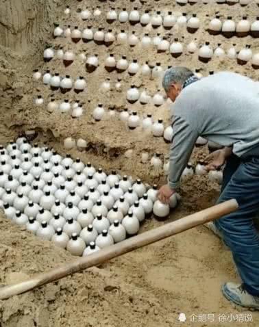 院子|老汉在院子里“种”上千瓶白酒,声称以后能发财,专家给出建议