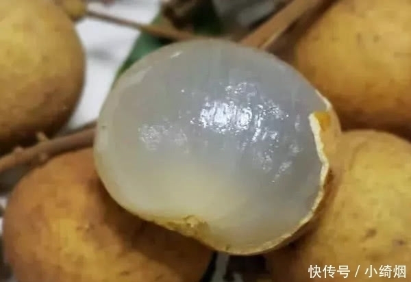 火龙果|名字带“龙”的几种水果,我赌2个冰棒,你只吃过两种