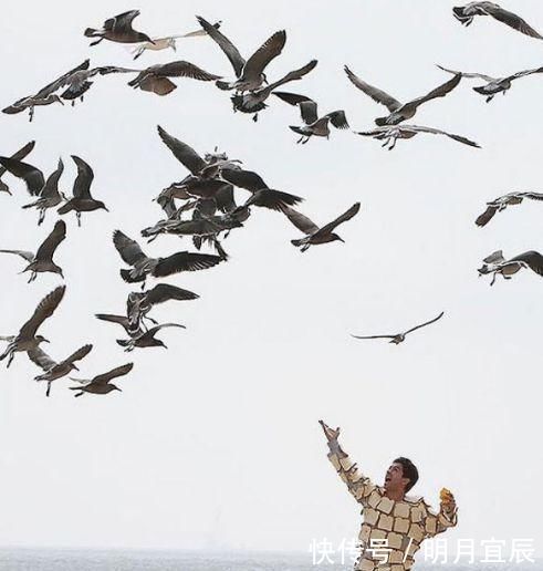  荒唐|10张那些看起来“荒唐”的照片，让人很难理解到底是怎么回事