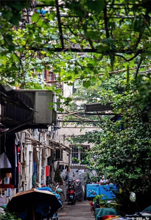 马路|回忆杀卢湾区超嗲百年马路,上海人永远记得你