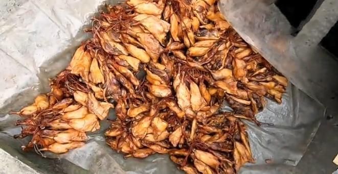 能卖|大叔在路边上卖“它”,12元一只,供不应求,每天能卖500只