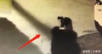 车门|陌生女子打开车门就脱裤子，车主：可以理解