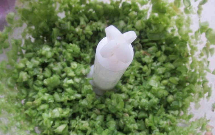 芹菜|7月包饺子,荠菜芹菜靠边站,这菜正当季,一咬满口香,百吃不厌