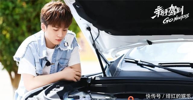 新手|《新手驾到》但凡考过驾照的人都会吐槽这个节目吧