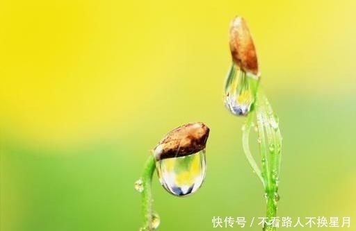 种东西不可|好人有好报,好因有好果!善良做人,心安一生