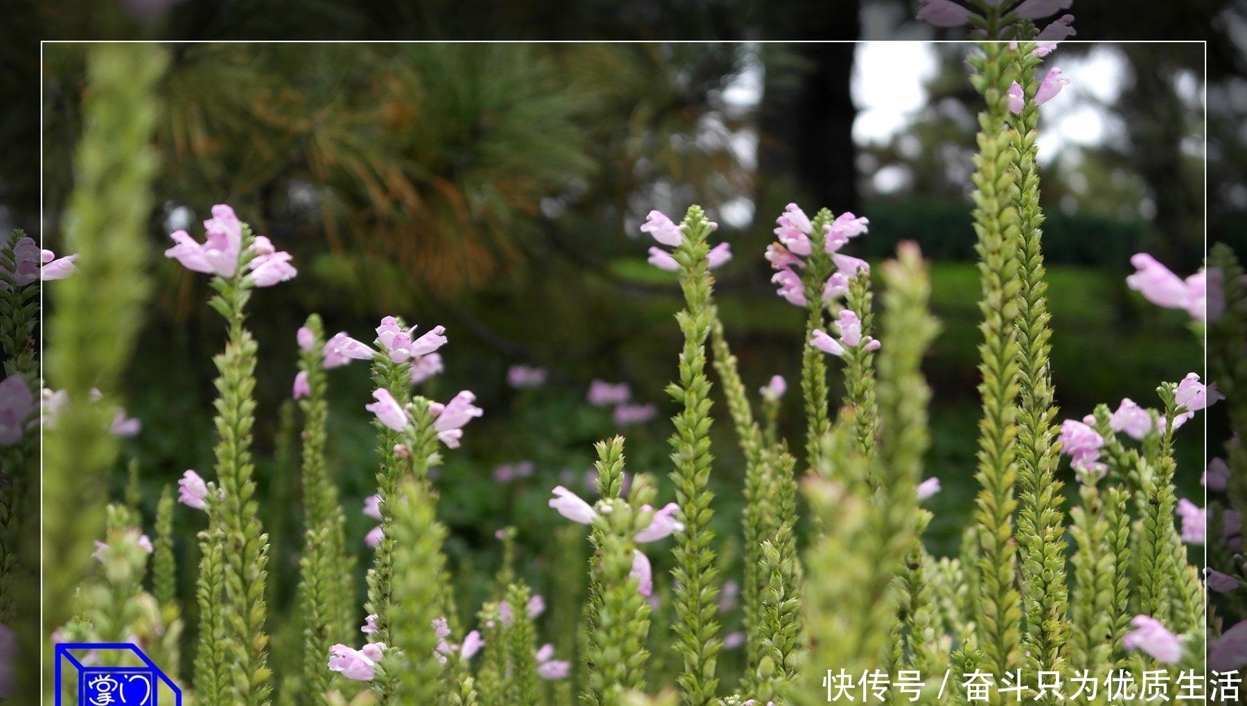 成大器|成年人有这四种行事方式,注定难成大器,现在改正还来得及