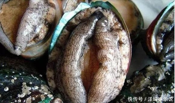 海鲜|海鲜大全, 你能认出多少