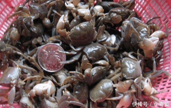 男子|男子上拼多多买“1元蟹”,一次买了99元,开箱后:真没发错货?