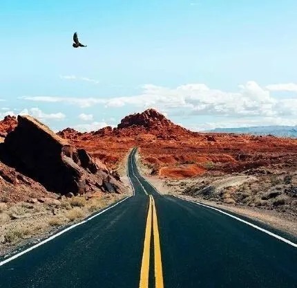 预知|谁也无法预知未来,很多事情可能一等就等成了永远