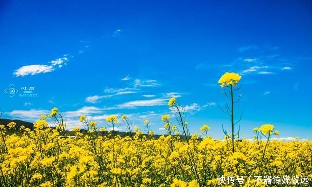 极端|在爱情里十分极端的星座,为了爱人辜负所有人,非常固执