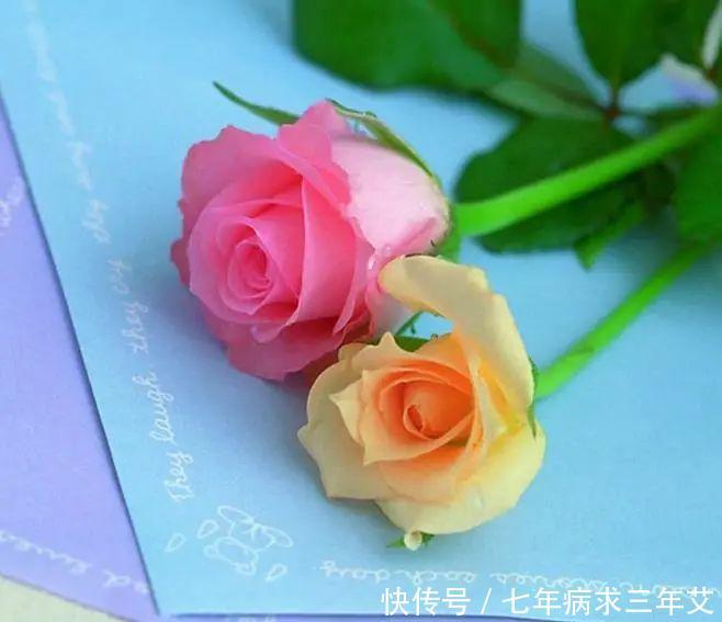 爱情|八月上旬，四大星座，桃花红艳艳，喜遇良缘，牵手甜蜜爱情