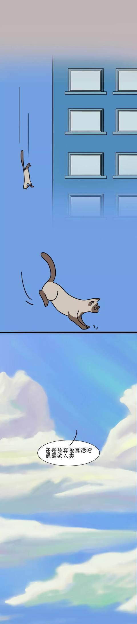 夫妻生活|夫妻生活都说真话了,还能过得下去吗?(漫画)