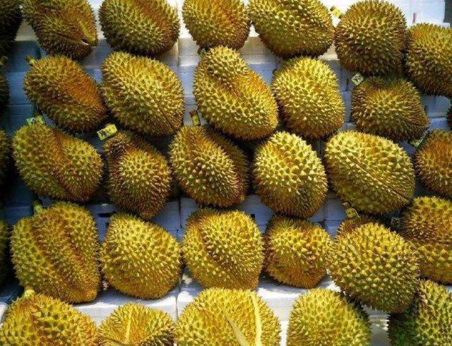 泰国|泰国“露肉”榴莲,导游多次暗示不要买,游客结账后“傻眼”