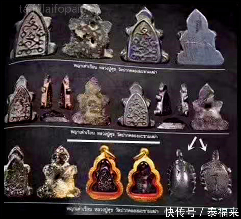  招财|【佛牌知识科普】龙婆蜀2460招财龟 神力之龟 帕亚道