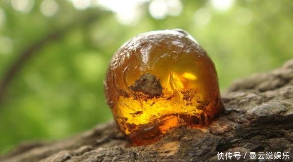 地球|地球历史上,有过两次持续100万年的降雨,是何原因造成的