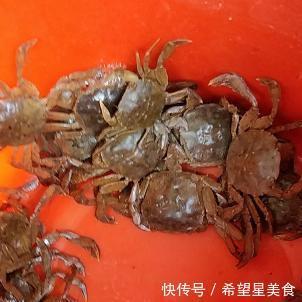 依旧|保存螃蟹时,别直接放冰箱,渔民教你一招,放一周依旧鲜活