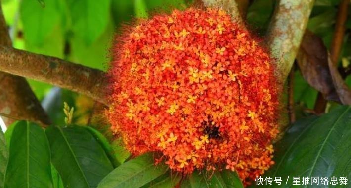 频传|九月上旬开始,喜报频传,财运暴涨,财喜两旺的生肖