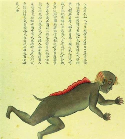 聂璜|故宫有本清朝画册,画了300种生物,唯独这条美人鱼让专家很激动
