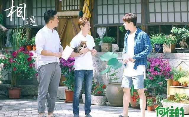 斗地主|向往的生活4败笔频现,嘉宾赶通告斗地主凑剧情,广告冲淡小怡然