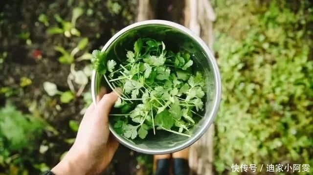  凉拌菜|凉拌汁这样调，1分钟搞定所有凉拌菜、凉皮凉面，赶紧学学！