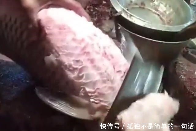 动刀|看看印度人怎么吃鱼20斤的草鱼,动刀第一步就让人大开眼界