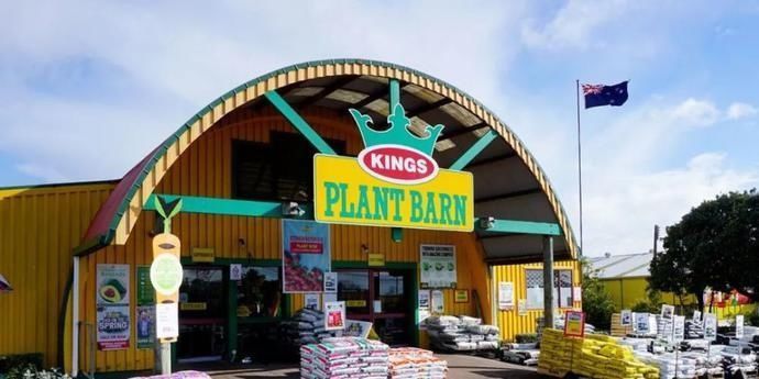 适合|冬天吃不起菜新西兰华人6月种菜攻略,适合新人上手