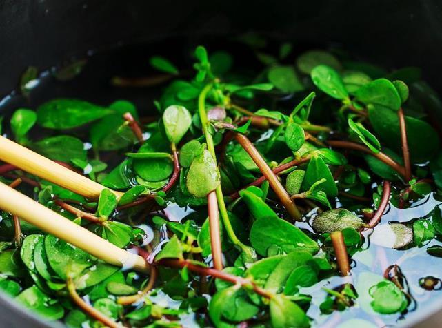 七月|七月,这菜一次囤20斤,放冰箱冻起来,特省时间,家人吃脾胃好