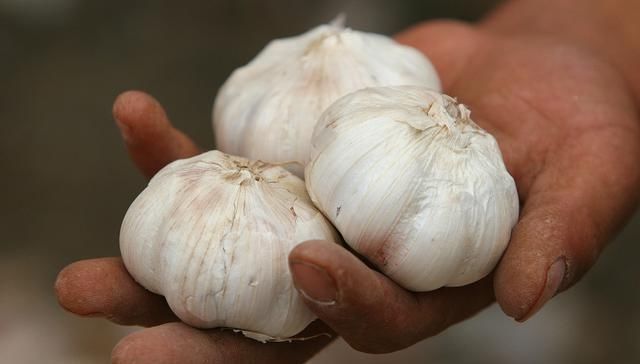  分量轻|过年了，这5种大蒜千万不要买！我也刚知道，赶紧告诉家人