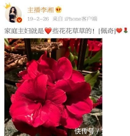  职场|李湘，一个职场女精英的家庭困局