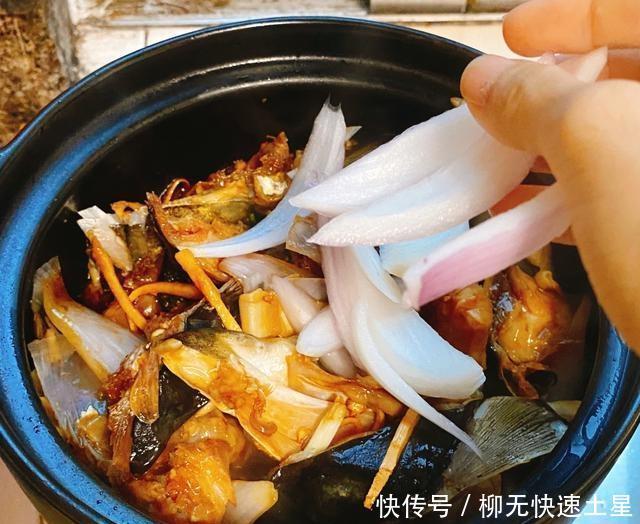  鱼头|洋葱鱼头锅，美味美味