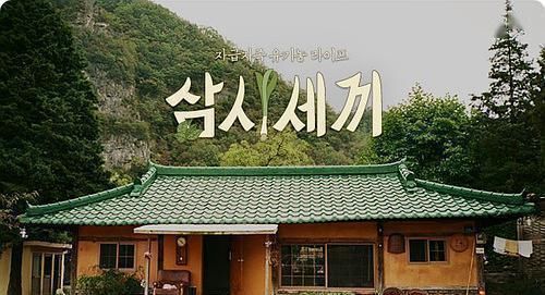 极限|《极限挑战》让罗英锡上热搜了,盘点那些年内地抄袭的韩综节目