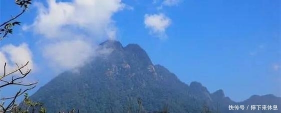 看相|东汉开国第一将军,望气看相独步天下,为13个儿子看相,全部应验