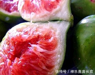 无花果的叶|无花果全身都是宝,果肉清甜美味,叶子也大有用处,别随便丢了