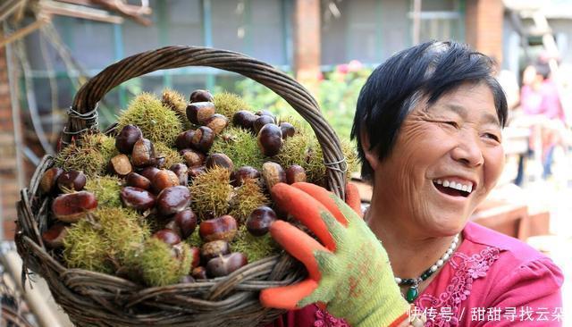 超级|小时候树林堆成山的“野果”,做豆腐超级美味,现在城里人排队买