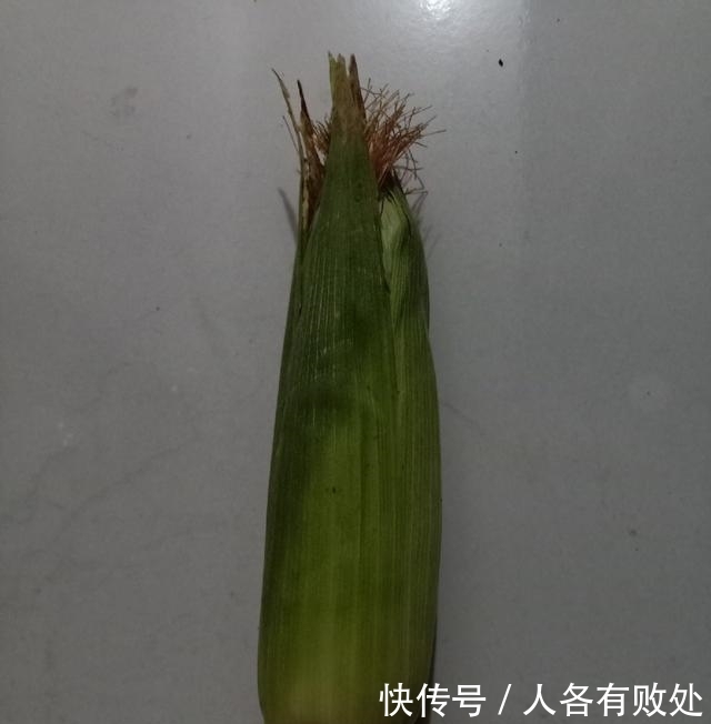 小将|再次征战大坝阵地，最终擒获“鲶军小将”