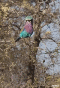 妹子|“妹子,你腰上的纹身真有个性,看得我脸红了”好一个出入平安啊哈哈哈