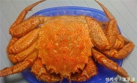  好吃|红毛蟹最好吃的三种做法